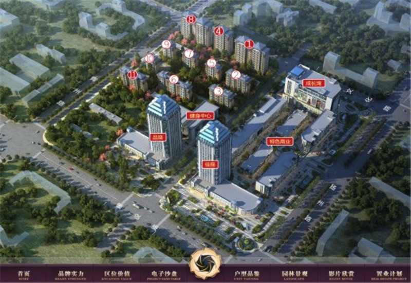 �خa����ɳ�P����չʾ