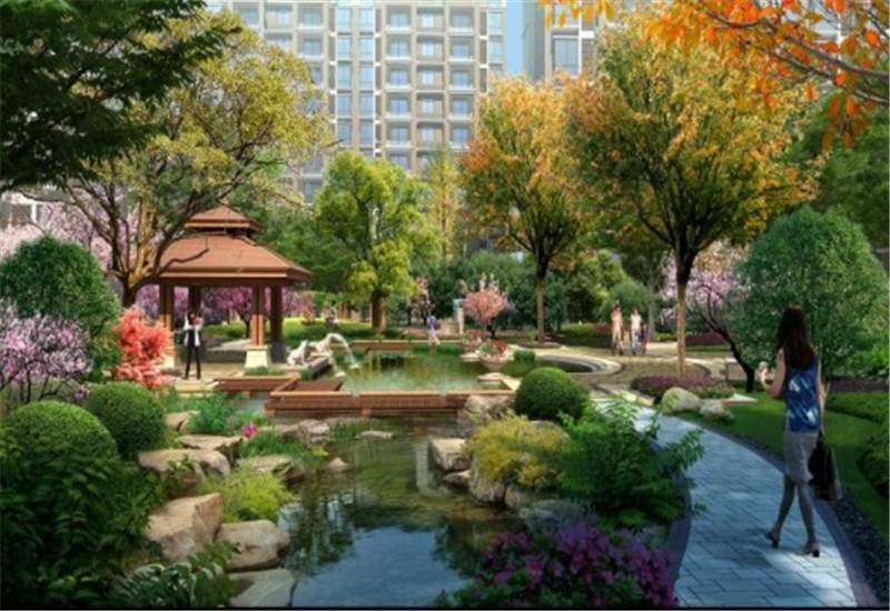 С�^���^����չʾ